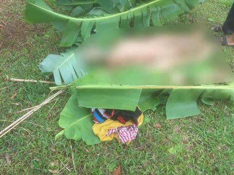 Thi thể 2 ch&aacute;u b&eacute; bị sảy ch&acirc;n xuống hố đuối nước thương t&acirc;m.