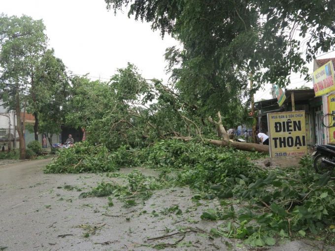 Cơn b&atilde;o số 2 g&acirc;y thiệt hại nặng nề tr&ecirc;n địa b&agrave;n tỉnh Nghệ An.