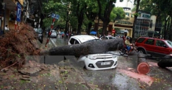 Thiệt hại Bão số 2 tại nhiều địa phương