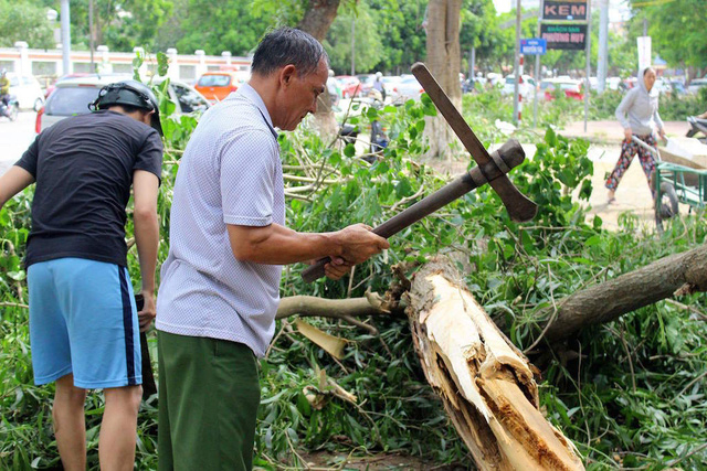 Sau b&atilde;o, người d&acirc;n th&agrave;nh Vinh ra đường