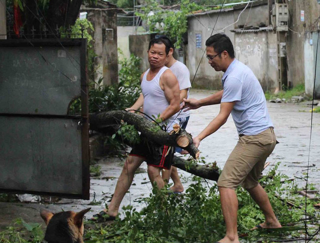 Sau b&atilde;o, người d&acirc;n th&agrave;nh Vinh ra đường