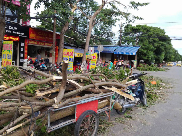 Củi được chất l&ecirc;n xe.