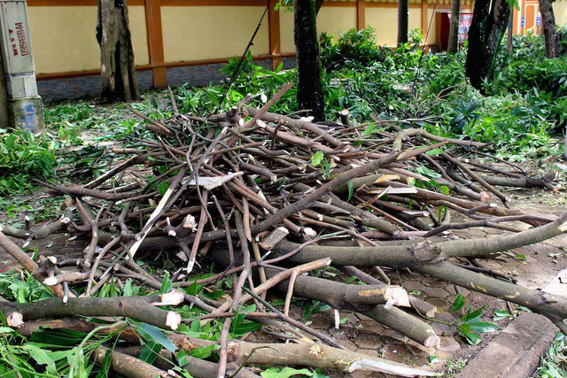 Sau b&atilde;o, người d&acirc;n th&agrave;nh Vinh ra đường