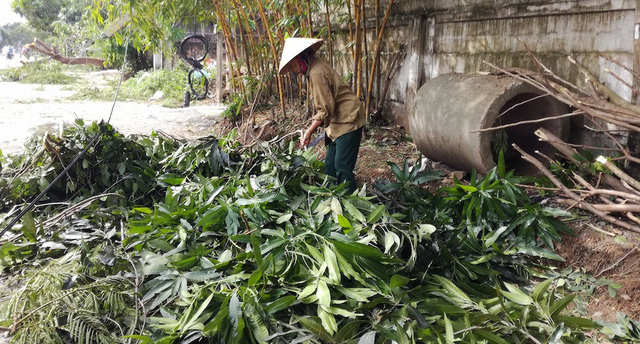 Sau b&atilde;o, người d&acirc;n th&agrave;nh Vinh ra đường