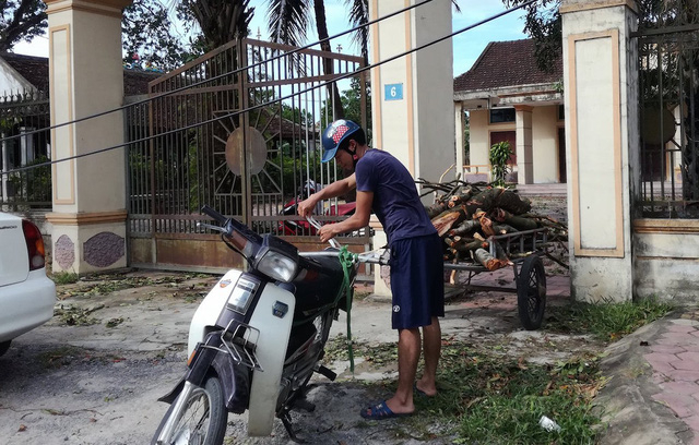 Chất củi l&ecirc;n xe đưa về nh&agrave;.