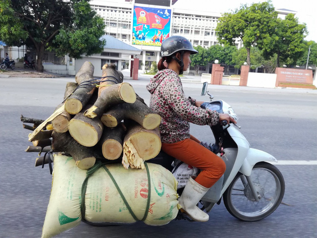 Những kh&uacute;c củi được đưa về nh&agrave;.