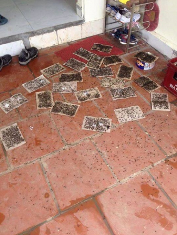 Người d&acirc;n k&ecirc;u trời v&igrave; ruồi tại b&atilde;i r&aacute;c Nam Sơn