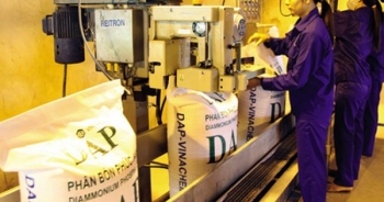 DAP – VINACHEM tiếp tục báo lỗ trong sáu tháng đầu năm