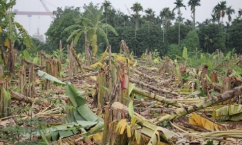 Pháp luật đang thiếu sự công bằng