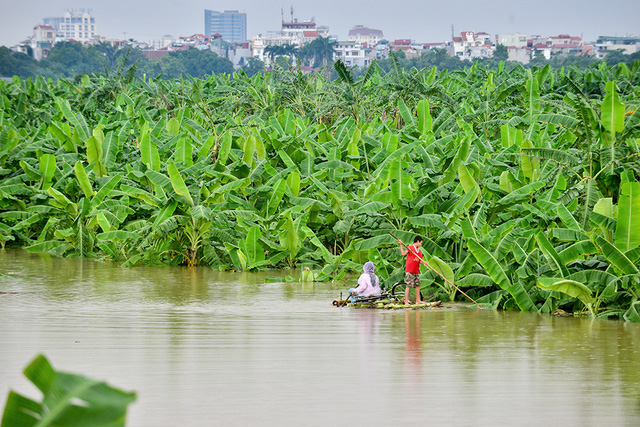 Chị em Lương tr&ecirc;n b&egrave; chuối giữa m&ecirc;nh m&ocirc;ng nước s&ocirc;ng m&ugrave;a lũ.    &nbsp;Xem: B&eacute; trai 15 tuổi đ&oacute;ng b&egrave; chuối đưa mẹ v&agrave; chị đi chợ h&agrave;ng ng&agrave;y