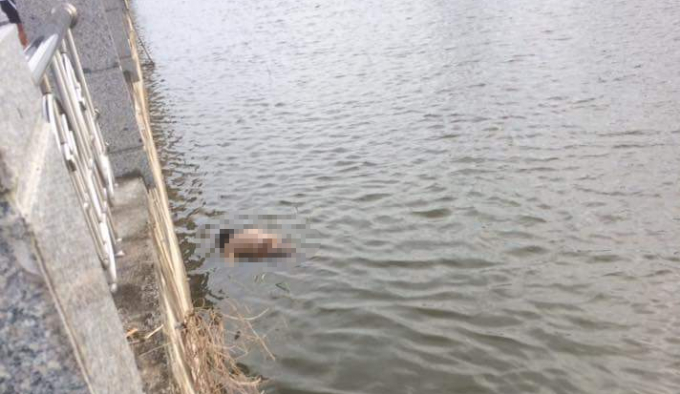 Thi thể người đ&agrave;n &ocirc;ng được ph&aacute;t hiện khi đang tr&ocirc;i dạt tr&ecirc;n s&ocirc;ng Đ&aacute;y.