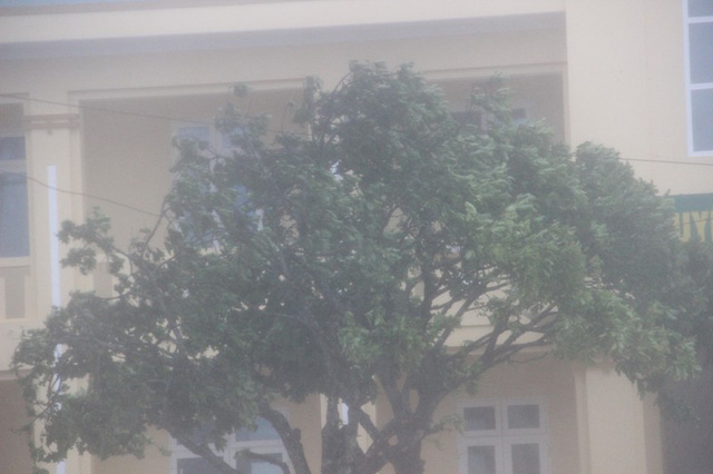 ... v&agrave; mưa lớn.