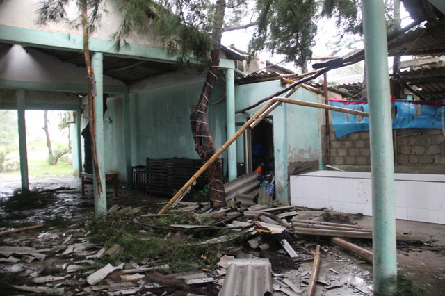 Qu&aacute;n kinh doanh bị hư hỏng m&aacute;i do c&acirc;y đổ đ&egrave; l&ecirc;n tr&ecirc;n.