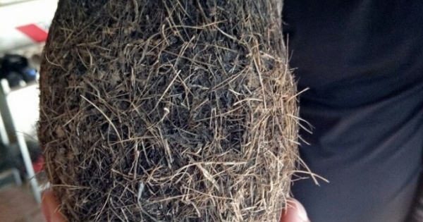 Phát hiện "cát lợn" trị giá hàng tỷ đồng ở Thanh Hóa