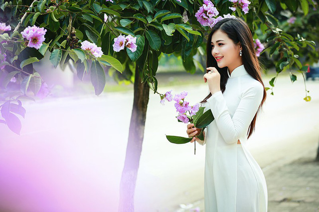 Thiếu nữ H&agrave; th&agrave;nh đẹp dịu d&agrave;ng b&ecirc;n hoa bằng lăng