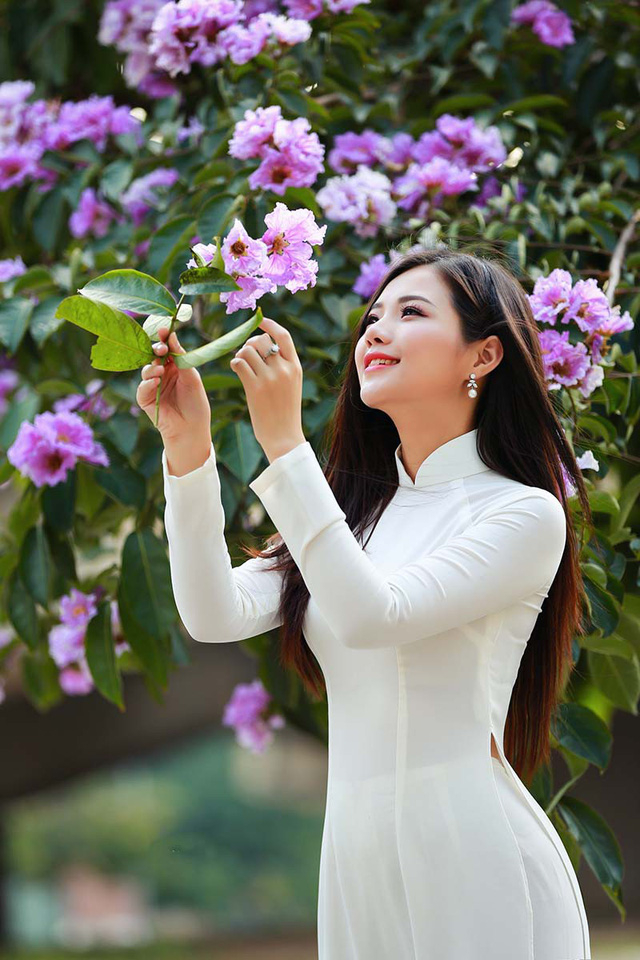 Thiếu nữ H&agrave; th&agrave;nh đẹp dịu d&agrave;ng b&ecirc;n hoa bằng lăng