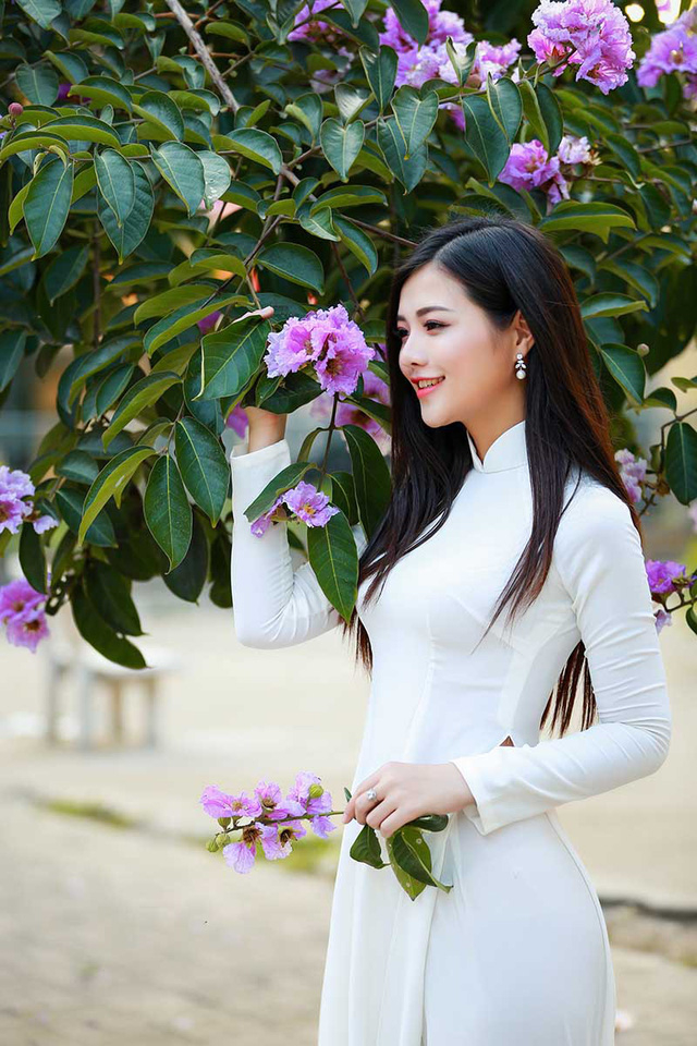 Thiếu nữ H&agrave; th&agrave;nh đẹp dịu d&agrave;ng b&ecirc;n hoa bằng lăng