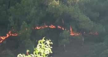 Thời sự 9h ngày 2/7/2018: Cảnh báo cháy rừng do nắng nóng