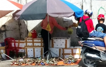 Cua biển gắn mác Cà Mau bán đổ đống vỉa hè Sài Gòn