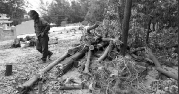 Ngôi mộ bạc tỷ bị kiện xây "sai phép lệ làng"