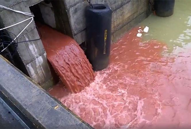 Ảnh minh họa. (Nguồn internet)