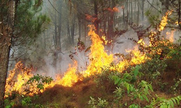 Ch&aacute;y rừng dữ dội ở Kh&aacute;nh Sơn, Nam Đ&agrave;n.