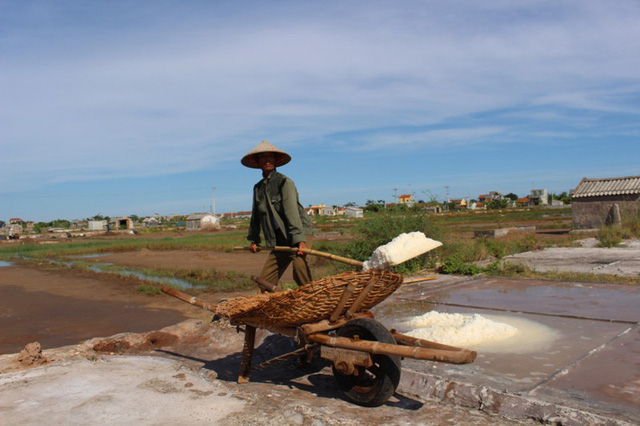 Nghề l&agrave;m muối vốn bạc, người l&agrave;m muối bỏ qu&aacute; nhiều c&ocirc;ng sức nhưng tiền thu về rất &iacute;t.