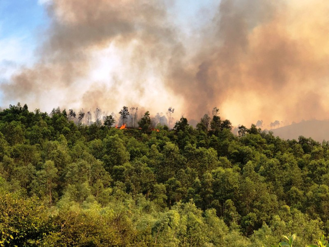 Khu rừng ở x&atilde; Ch&acirc;u Lộc, huyện Hậu Lộc (Thanh H&oacute;a) bốc ch&aacute;y.