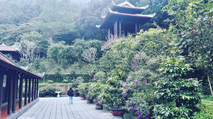 Huyền kh&ocirc;ng giữa rừng hoa l&aacute;.