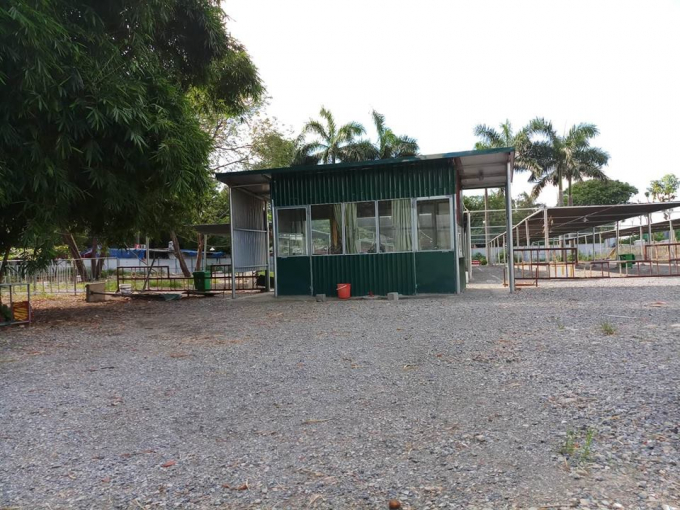 Nhiều l&aacute;n tạm mọc l&ecirc;n, thậm ch&iacute; c&oacute; cả l&aacute;n bảo vệ.