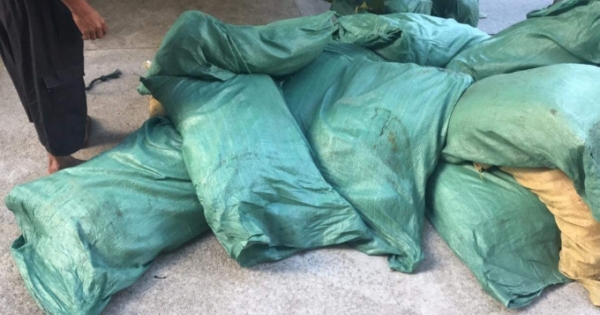 Thừa Thiên Huế: Phát hiện nhiều tấn đường và bột ngọt không rõ nguồn gốc