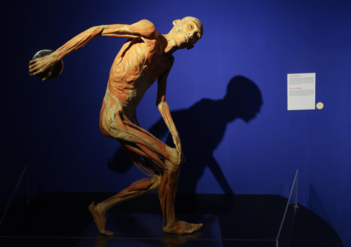 Một m&ocirc; h&igrave;nh người tại triển l&atilde;m tại TP HCM.