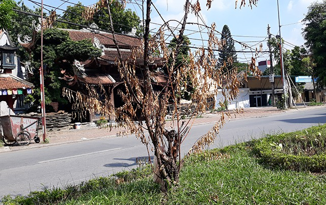 H&eacute;o l&aacute;, ngắc ngoải.