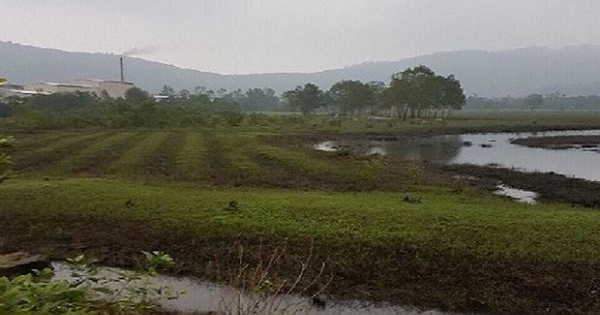 Thừa Thiên - Huế: Kiến nghị thu hồi 13 lô đất bị cán bộ chiếm đoạt cho người thân