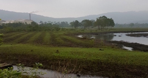 Thừa Thiên Huế: Đang làm rõ việc nguyên chủ tịch xã cấp sai 13 lô đất