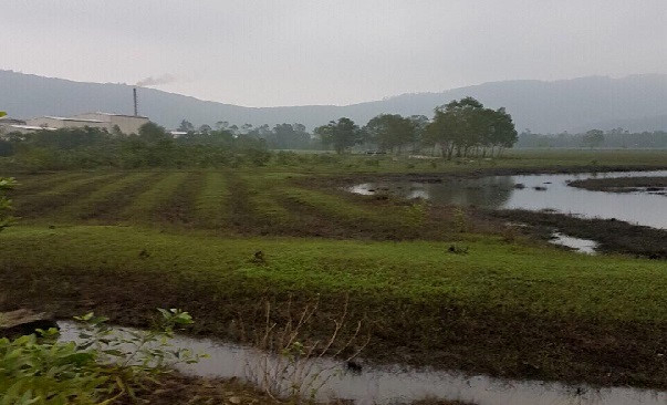 Khu vực c&aacute;c l&ocirc; đất xảy ra tranh chấp.