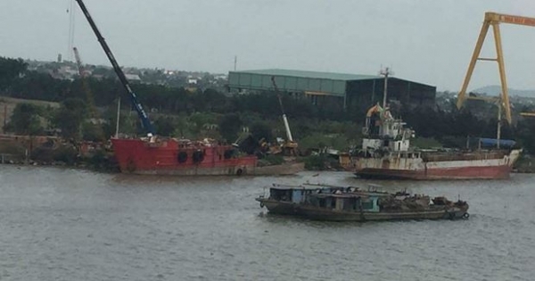 Hải Phòng: Cần xử lý triệt để việc phá dỡ tàu cũ trái phép ngay tại bãi bồi ngoài đê Văn Úc