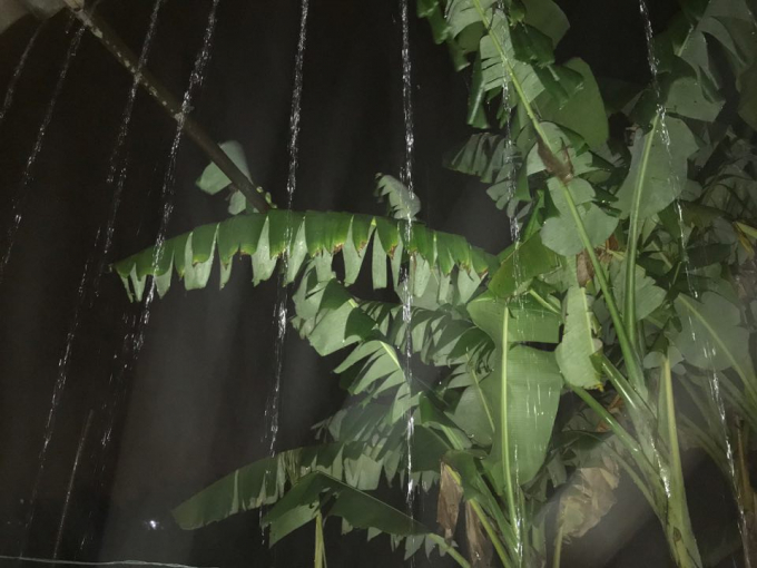 Mưa lớn vẫn đang tiếp diễn tr&ecirc;n địa b&agrave;n Nghệ An.