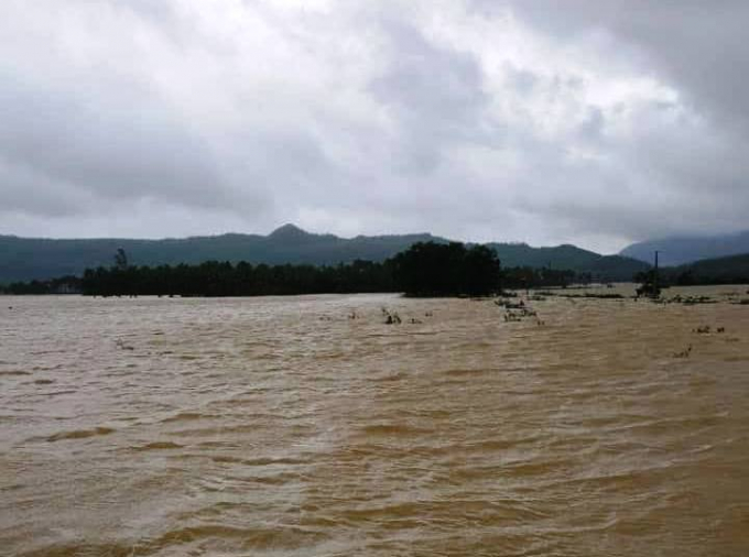 Nhiều diện t&iacute;ch hoa m&agrave;u, ruộng l&uacute;a tại huyện N&ocirc;ng Cống bị ch&igrave;m trong biển nước