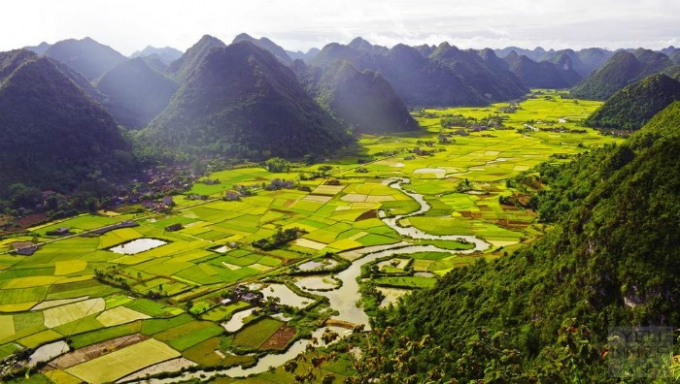 Đặc điểm của l&uacute;a Bắc Sơn l&agrave; c&aacute;c ruộng trồng kh&ocirc;ng c&ugrave;ng thời điểm, do vậy bạn c&oacute; thể chi&ecirc;m ngưỡng m&agrave;u v&agrave;ng l&uacute;a ch&iacute;n xen kẽ sắc xanh mơn mởn.&nbsp;Ảnh: yeunhiepanh