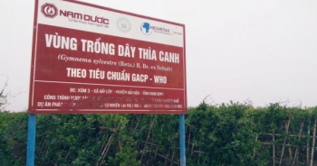 10 năm một giấc mơ trị tiểu đường bằng đông y