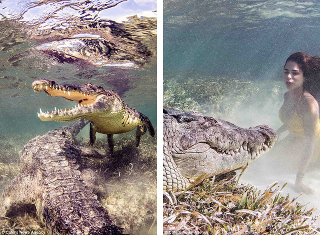 Chi&ecirc;m ngưỡng bộ ảnh người đẹp b&ecirc;n... c&aacute; sấu