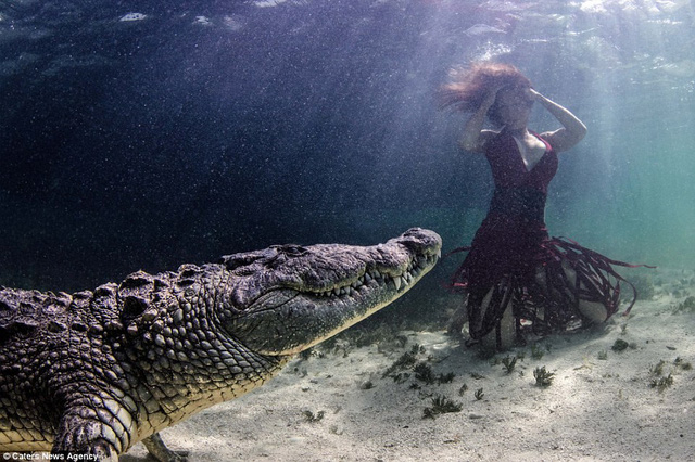 Bộ ảnh kh&ocirc;ng sử dụng những biện ph&aacute;p đ&aacute;nh lừa thị gi&aacute;c.