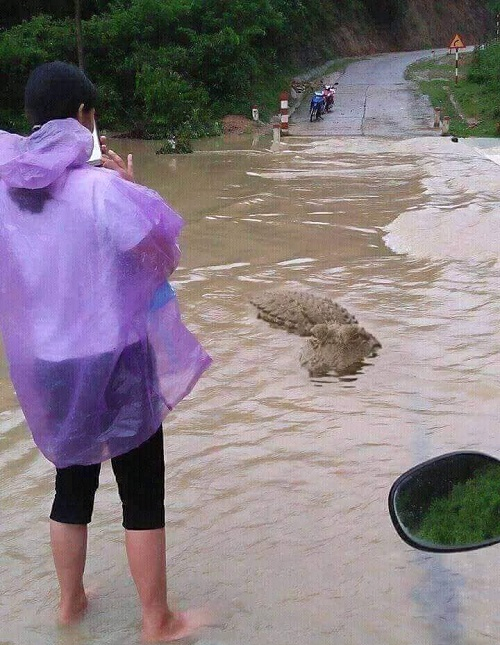 Chụp một bức ảnh l&agrave;m kỷ niệm.