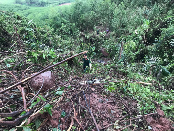 Một khu vực rộng lớn c&acirc;y cối đ&atilde; đổ ng&atilde; sau vụ rơi m&aacute;y bay.