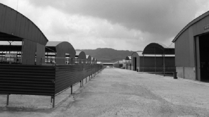 Đại dự &aacute;n nu&ocirc;i b&ograve; đang rơi v&agrave;o cảnh&ldquo;chết yểu&rdquo; với cảnh chuồng trại trống ho&aacute;c...