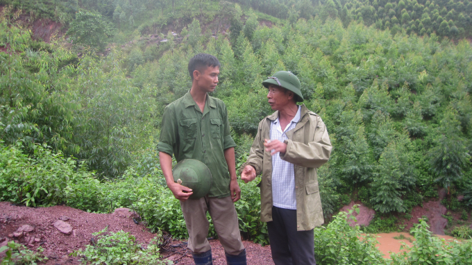 &Ocirc;ng B&iacute;ch v&agrave; anh Phong mong muốn chuyển diện t&iacute;ch rừng b&agrave; con đang nhận giao kho&aacute;n l&agrave; rừng sản xuất để đầu tư l&agrave;m ăn v&agrave; trả nợ ng&acirc;n h&agrave;ng.