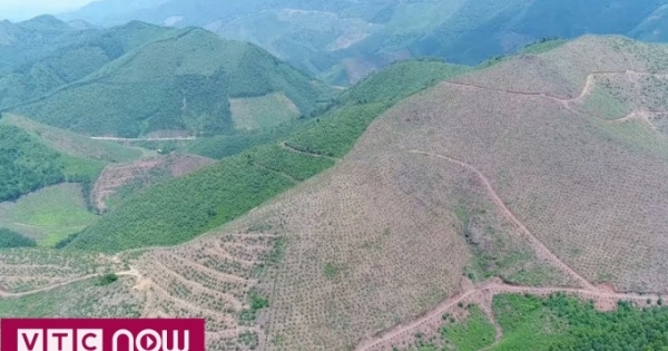 Hàng ngàn ha rừng Quảng Ninh bị phá do đâu?