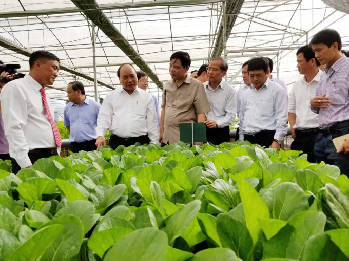 Thủ tướng Nguyễn Xu&acirc;n Ph&uacute;c thăm quan m&ocirc; h&igrave;nh n&ocirc;ng nghiệp c&ocirc;ng nghệ cao, sản xuất rau an to&agrave;n tại huyện Đức Trọng, tỉnh L&acirc;m Đồng.
