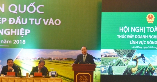 Cả nước có 49.600 doanh nghiệp đầu tư vào nông nghiệp